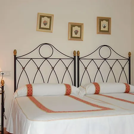 Aptos Vida Hotel *